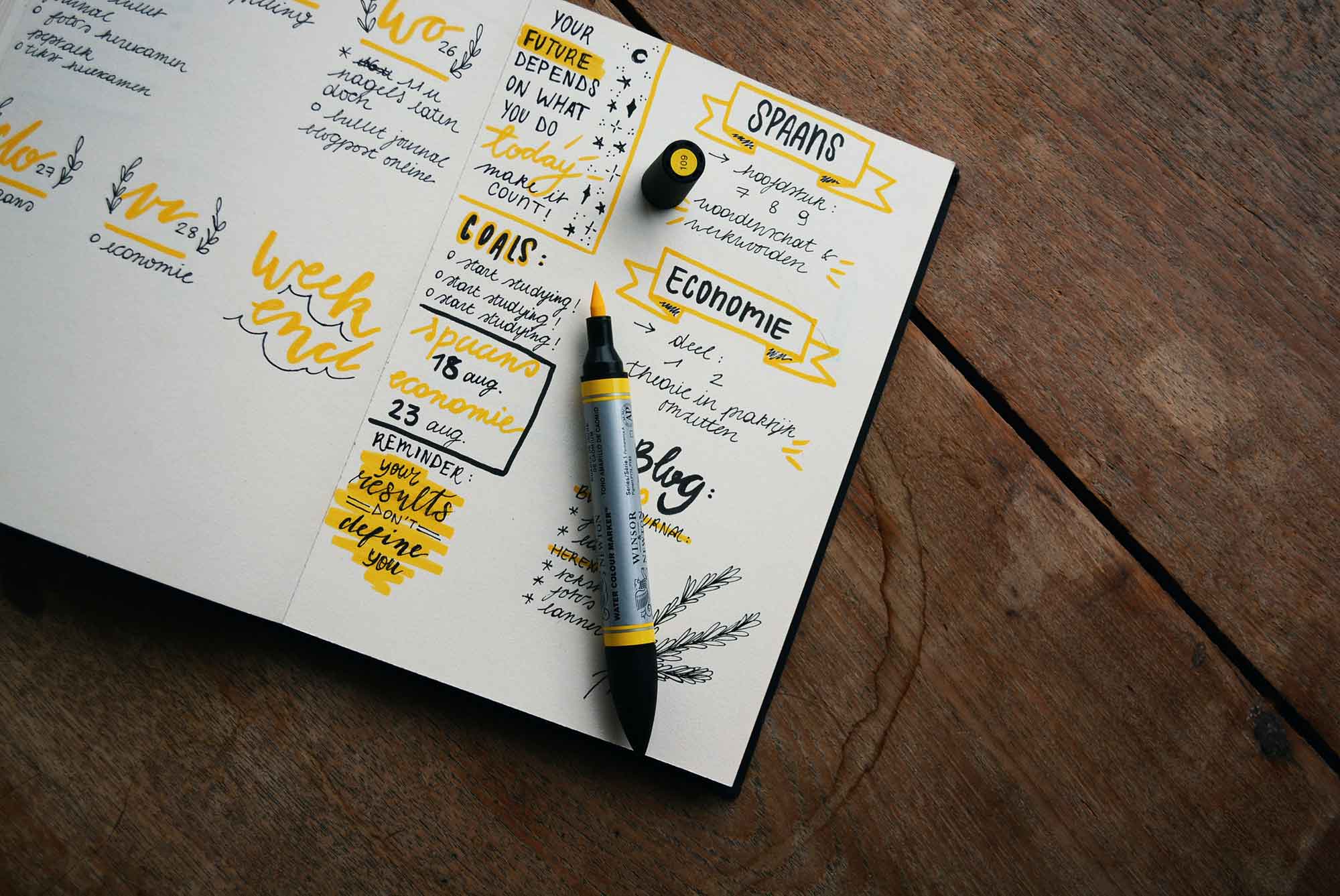 15 Bullet Journal Pages to Try In 2024! 🌟