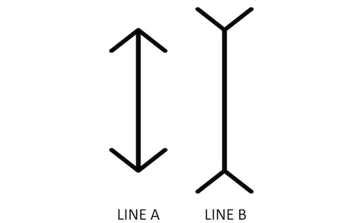 Are These Lines The Same Height? Your Answer Depends On Where You