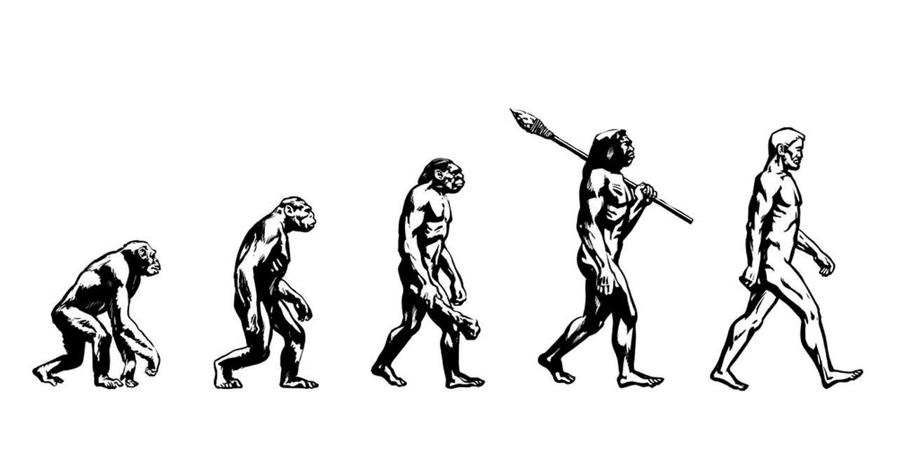 Stages of Evolution of Human Beings