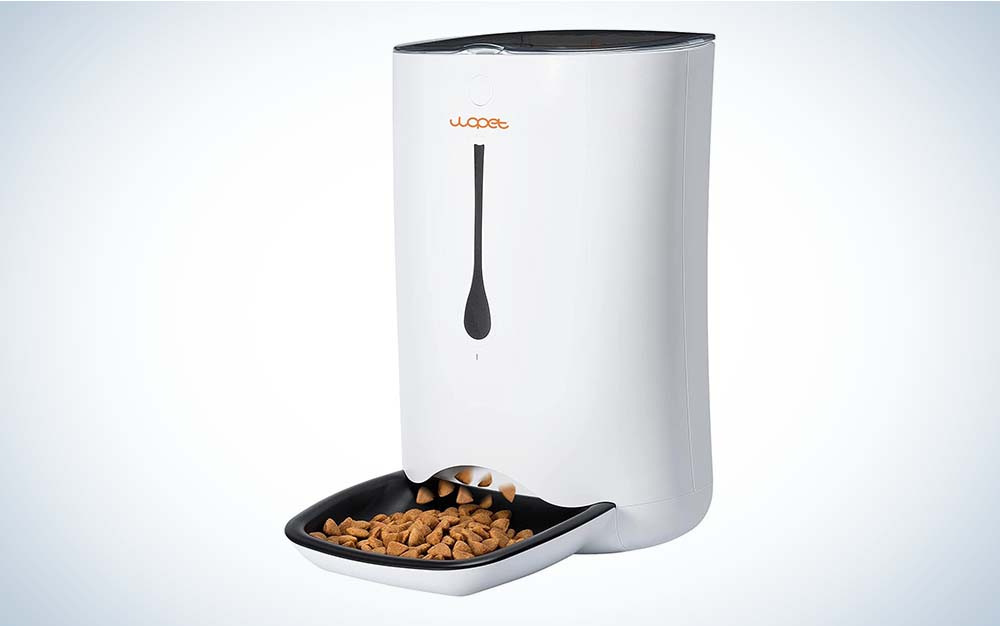 13 Best Automatic Dog Feeders So They Never Miss Dinner