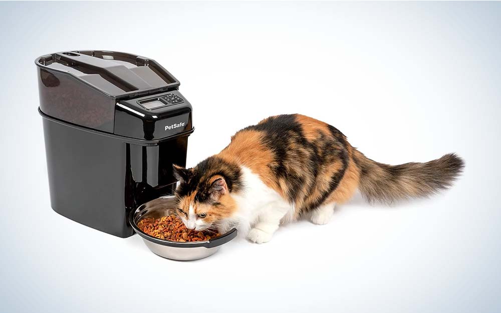 13 Best Automatic Dog Feeders So They Never Miss Dinner