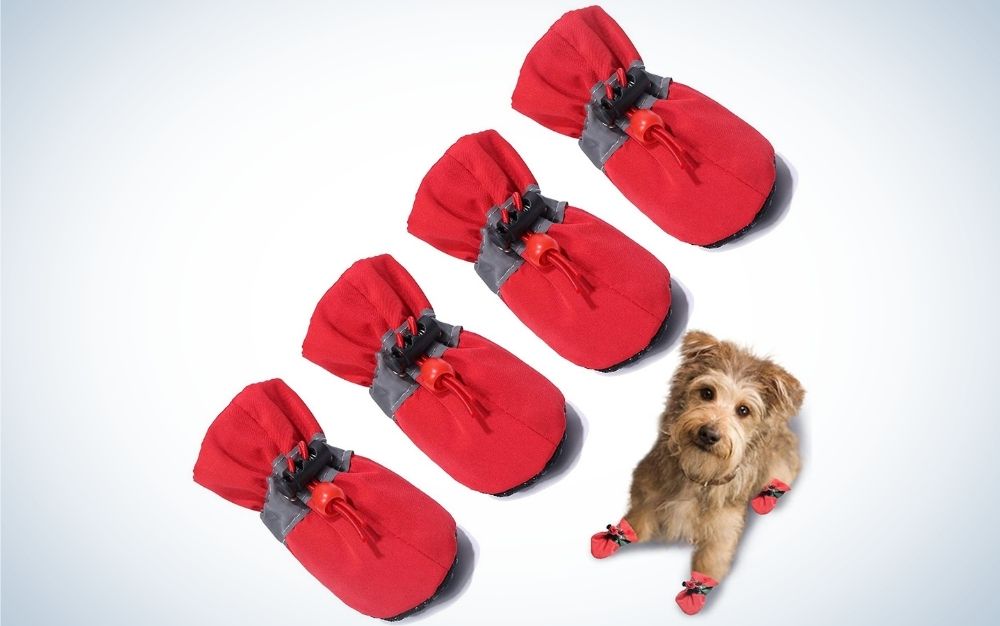 Non-Slip Dog Shoes Rain Socks Pet Waterproof Rubber Boots for Walking  Outdoor