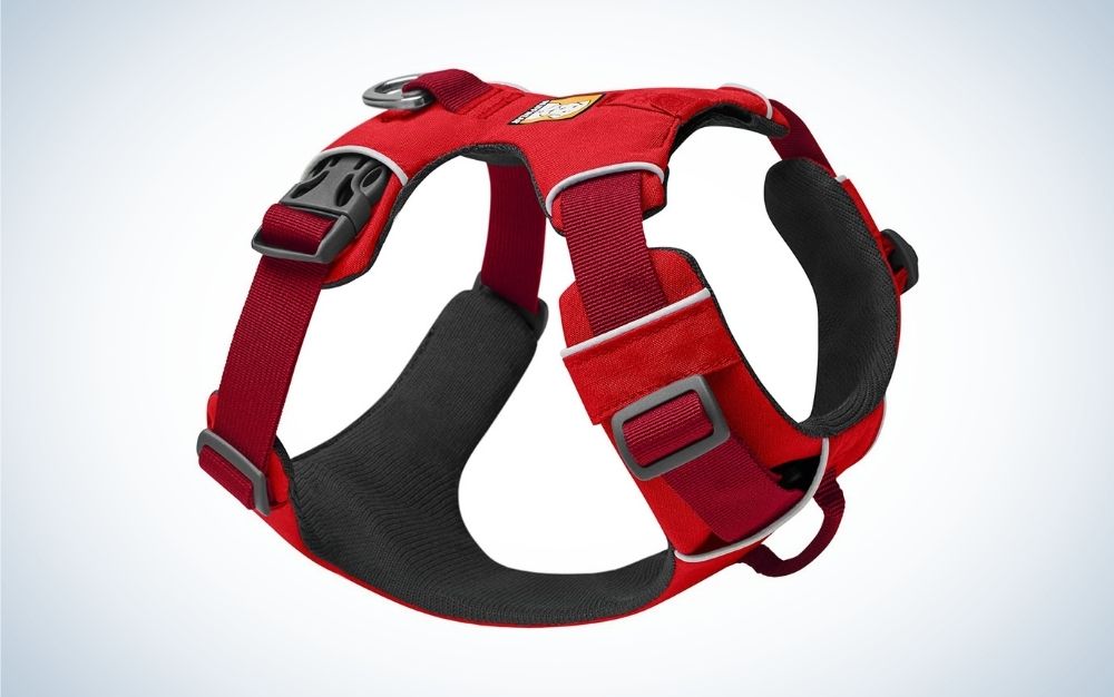 The 10 Best Dog Harnesses of 2023, Tested and Reviewed
