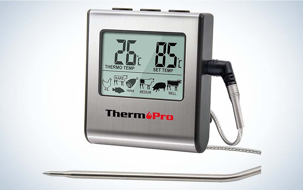 10 Best Meat Thermometers for 2023