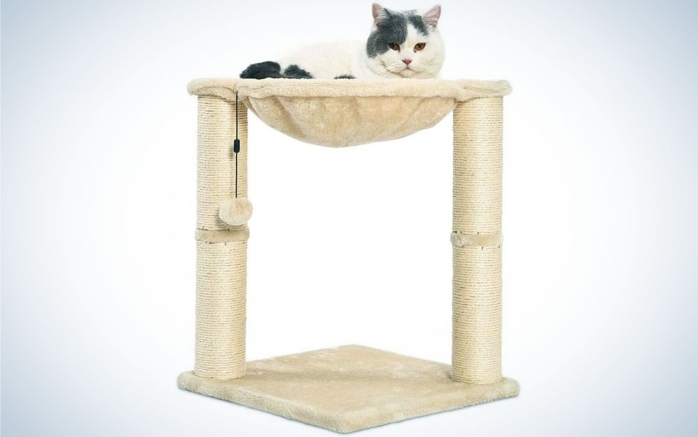 The best cat trees of 2024 Popular Science