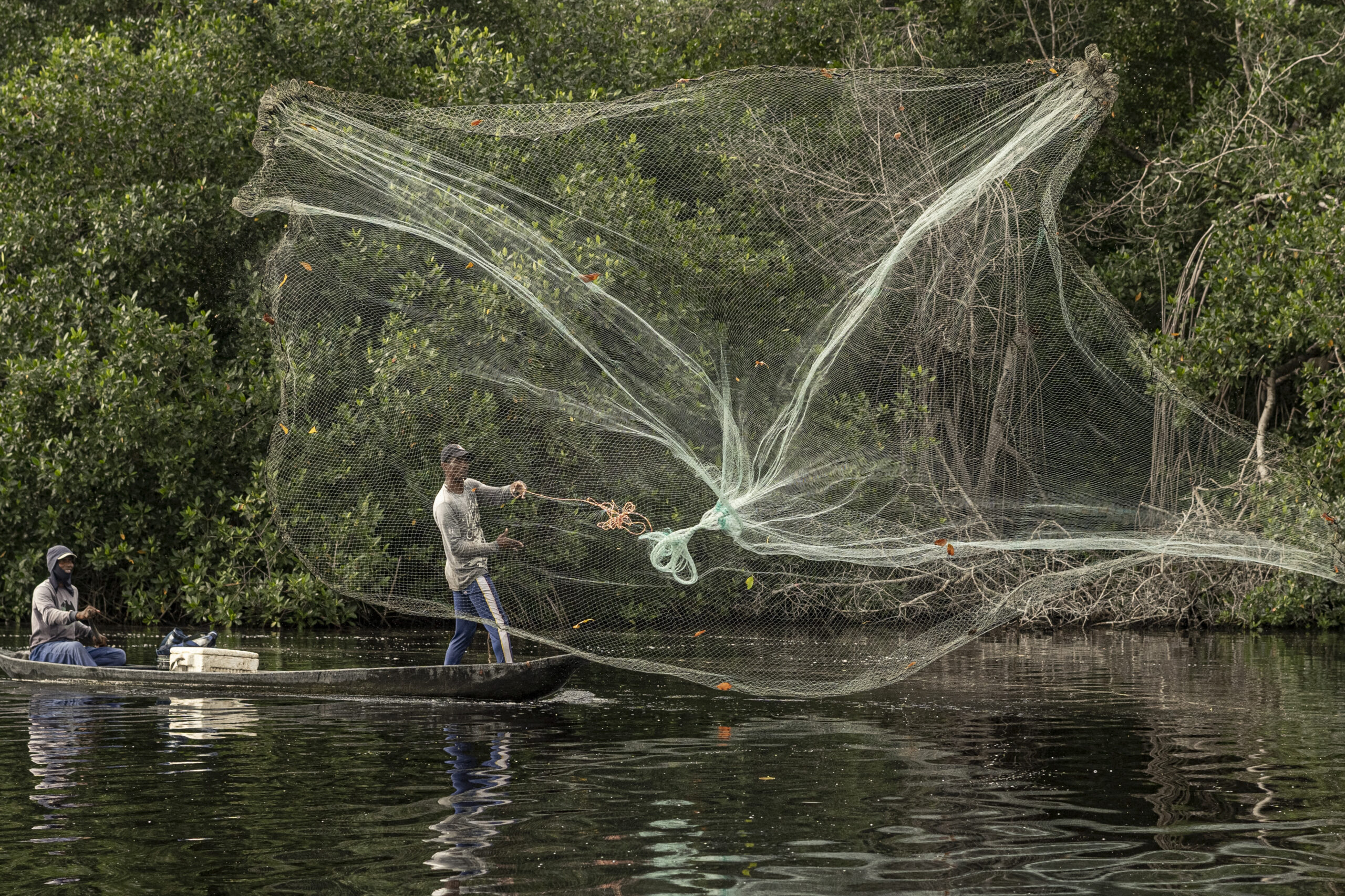 Way of the wetlands: Heard of this unique fishing tradition in Kerala?