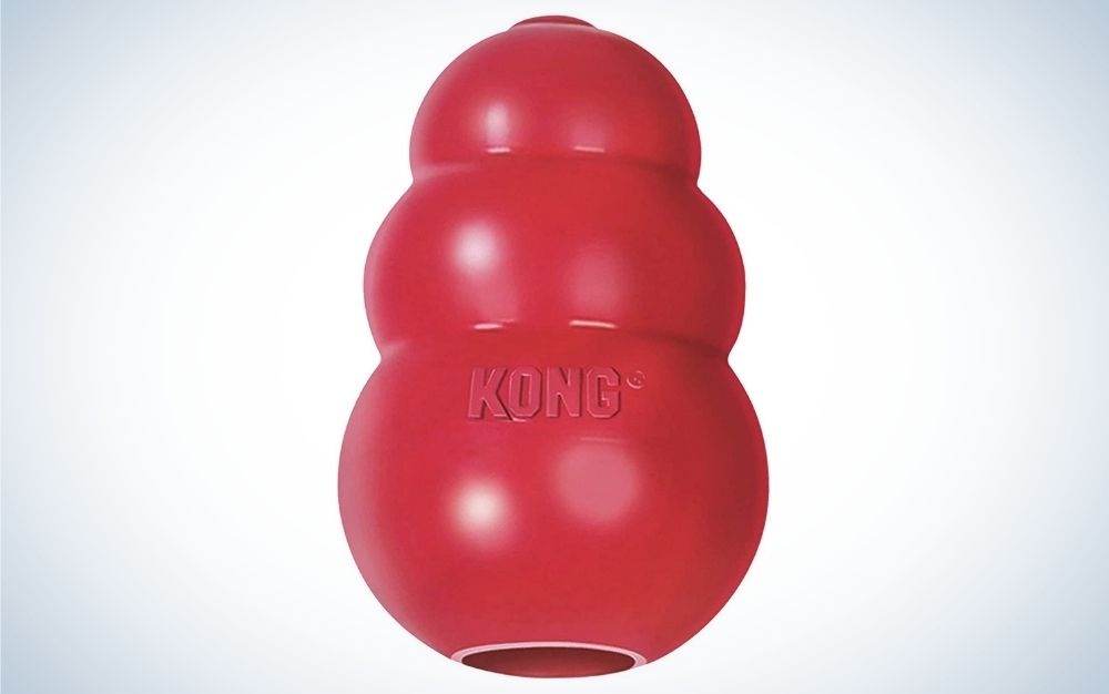 The best KONG dog toys of 2023