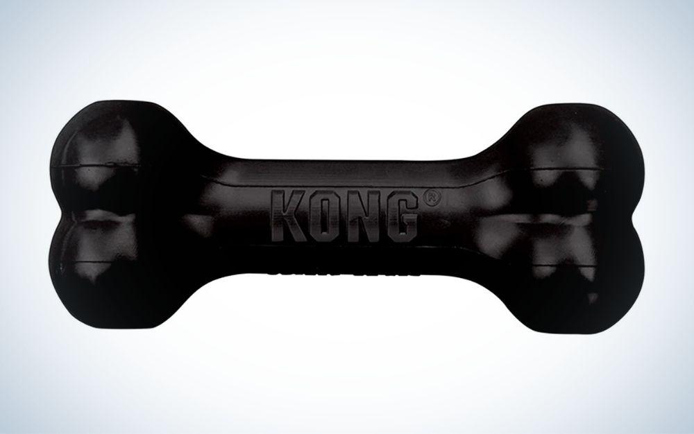 KONG Dog Toy Review: A Must-Have
