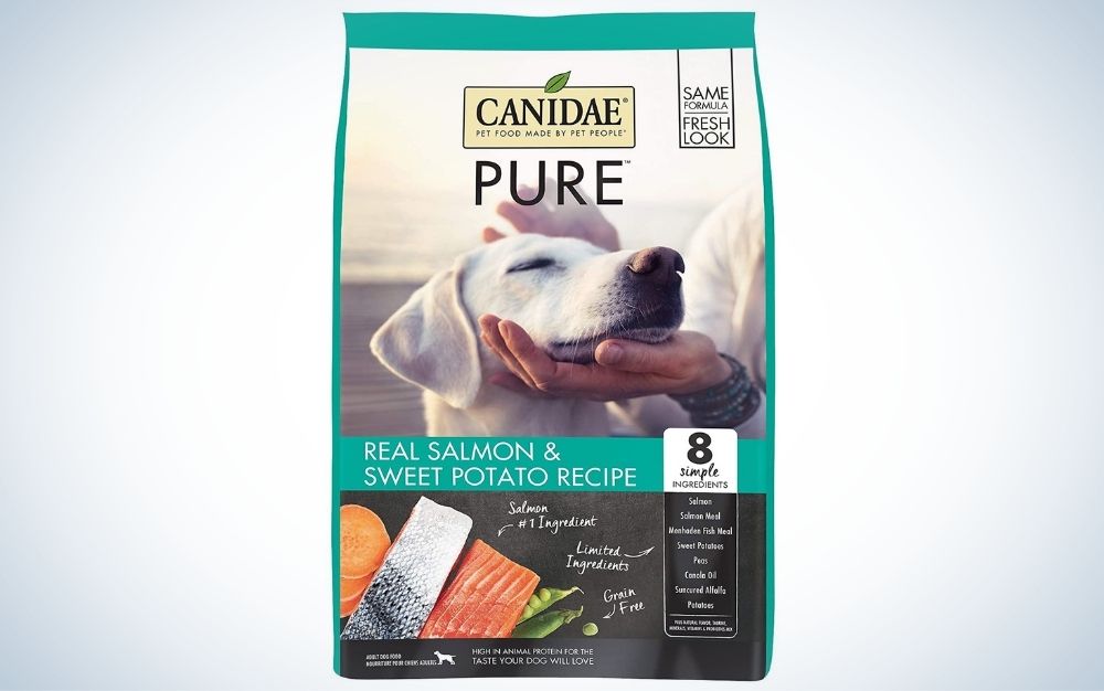 Best Dry Dog Food  2023 Dog Food Review