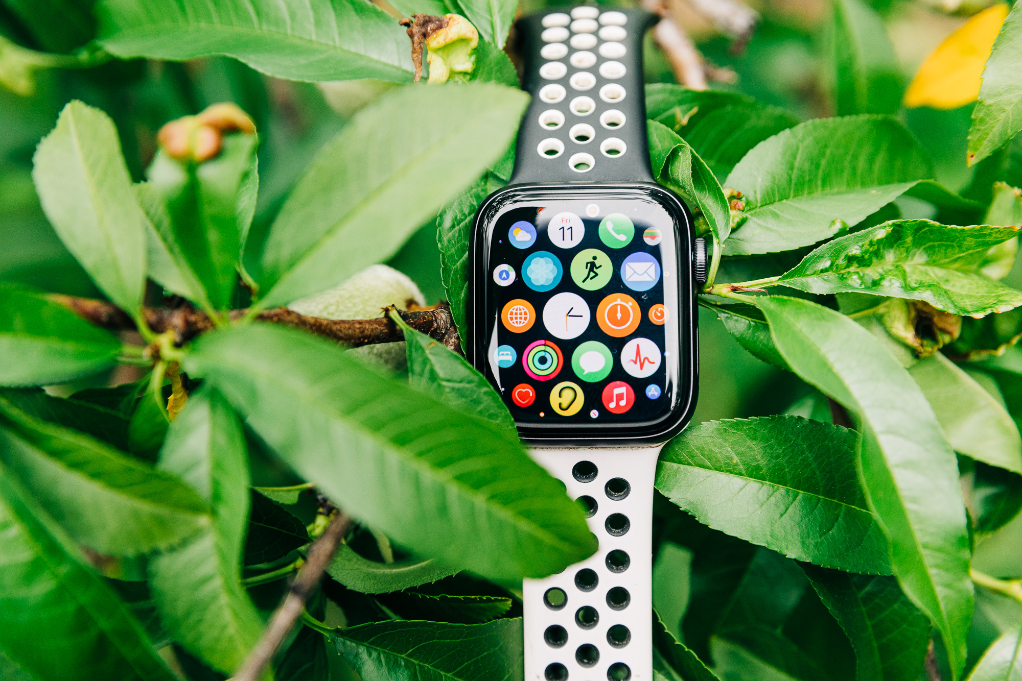 Apple Watch Series 6: The Best Fitness Tracker Watch