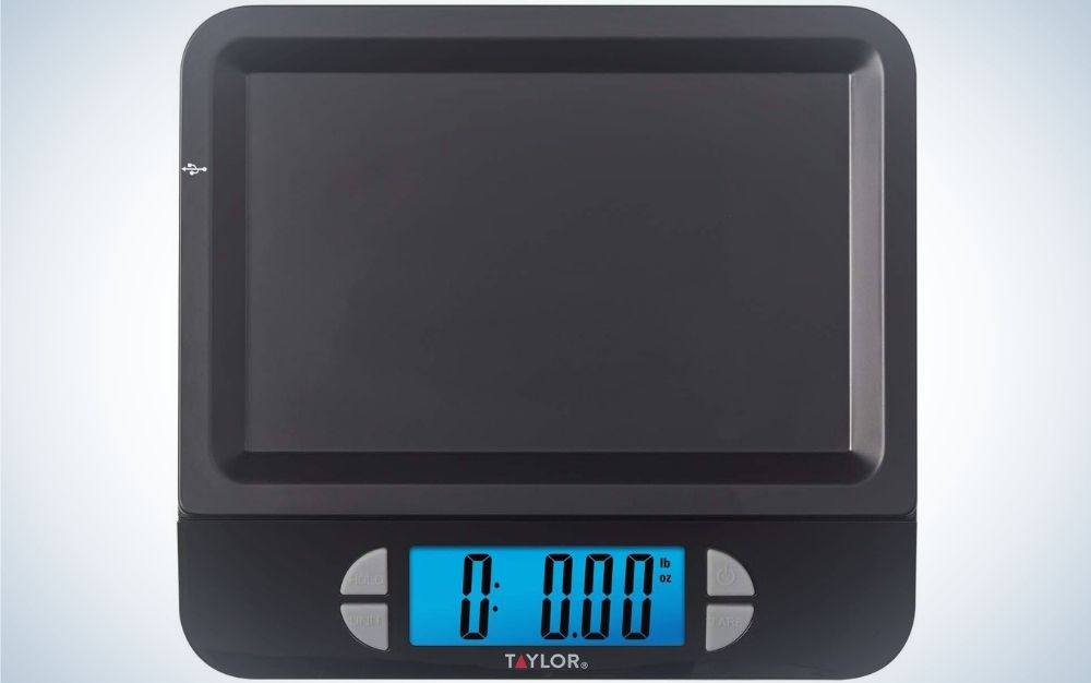4 Best Kitchen Scales 2023 Reviewed