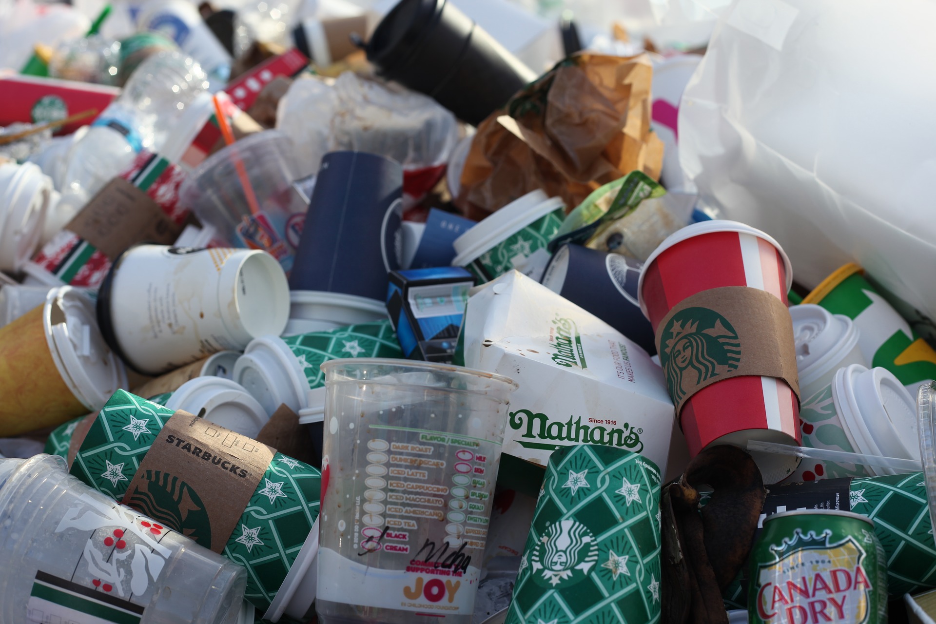 Your compostable plastic cups aren't a cure-all