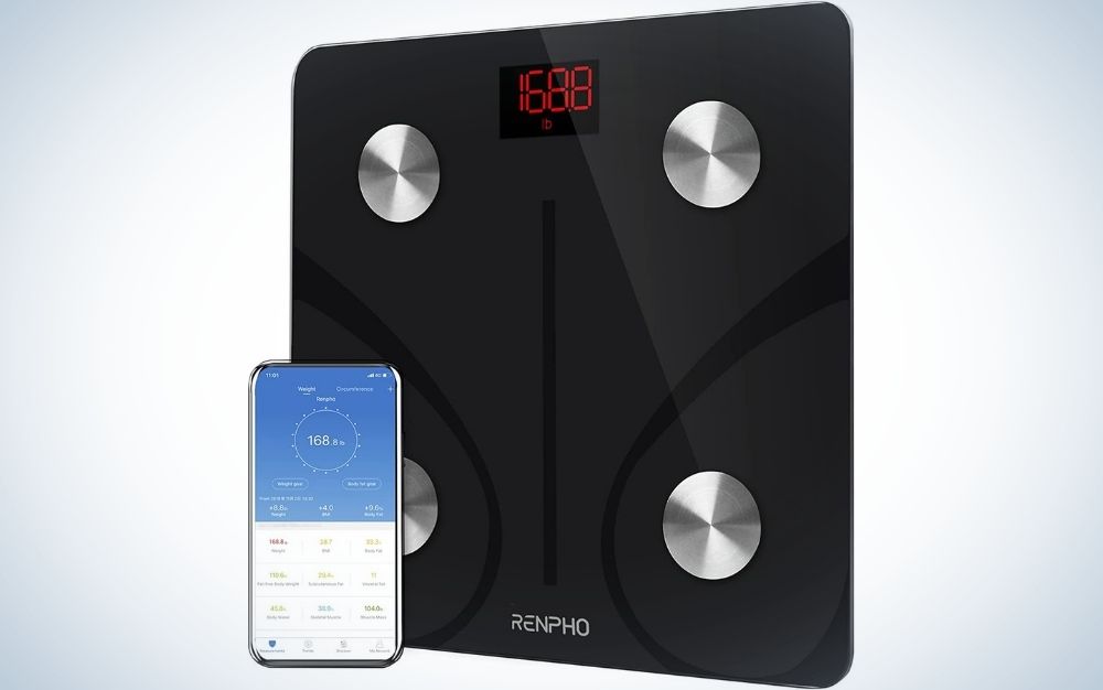 RENPHO Wi-Fi Bluetooth Body Fat Scale, Body Weight Scale, Smart BMI Scale,  Digital Scale, Wireless Body Composition Analysis & Health Monitor with ITO  Coating Technology, Black 