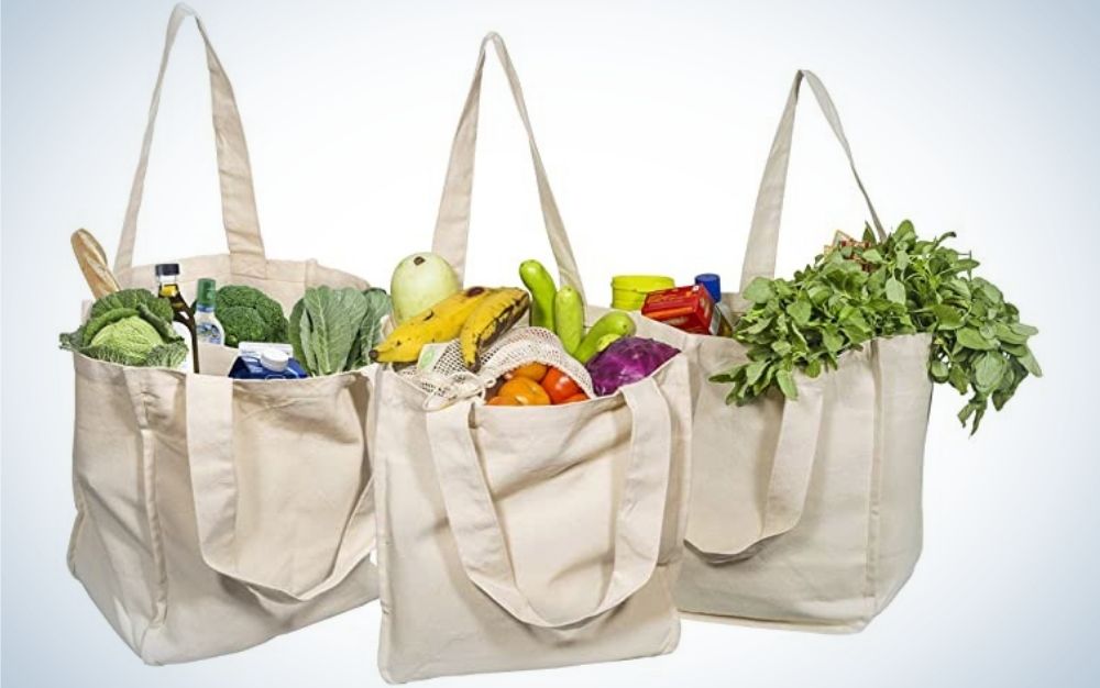 Choosing The Best Reusable Grocery Bag - Escoffier