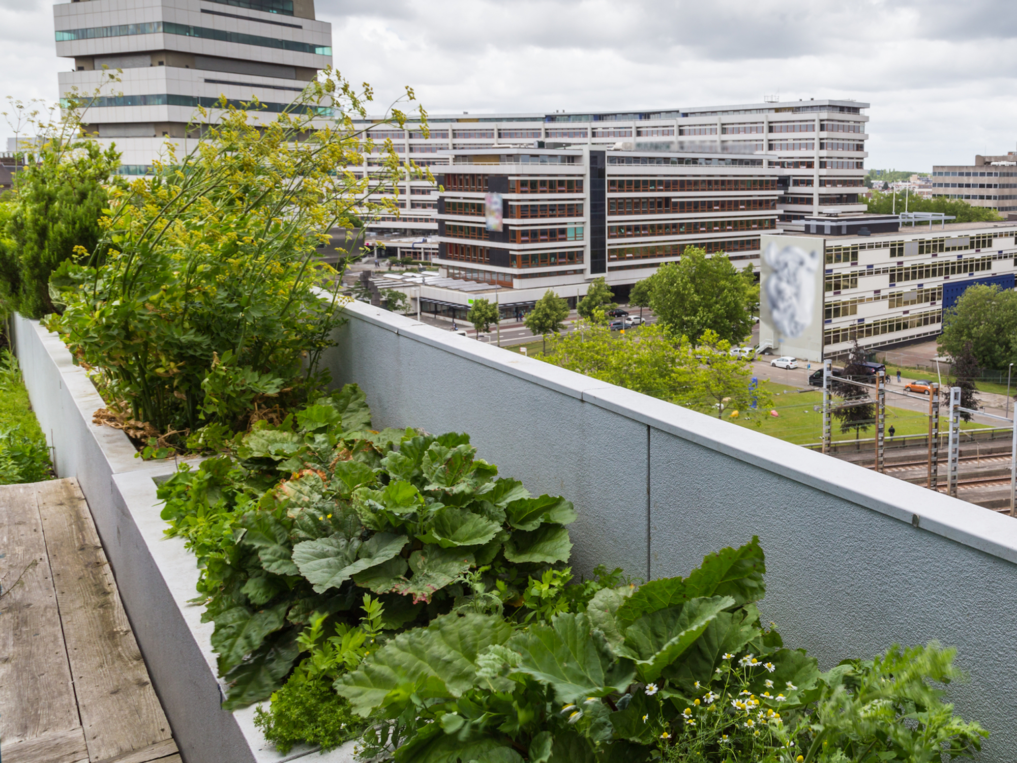 Carbon dioxide ventilation boosts rooftop garden yields