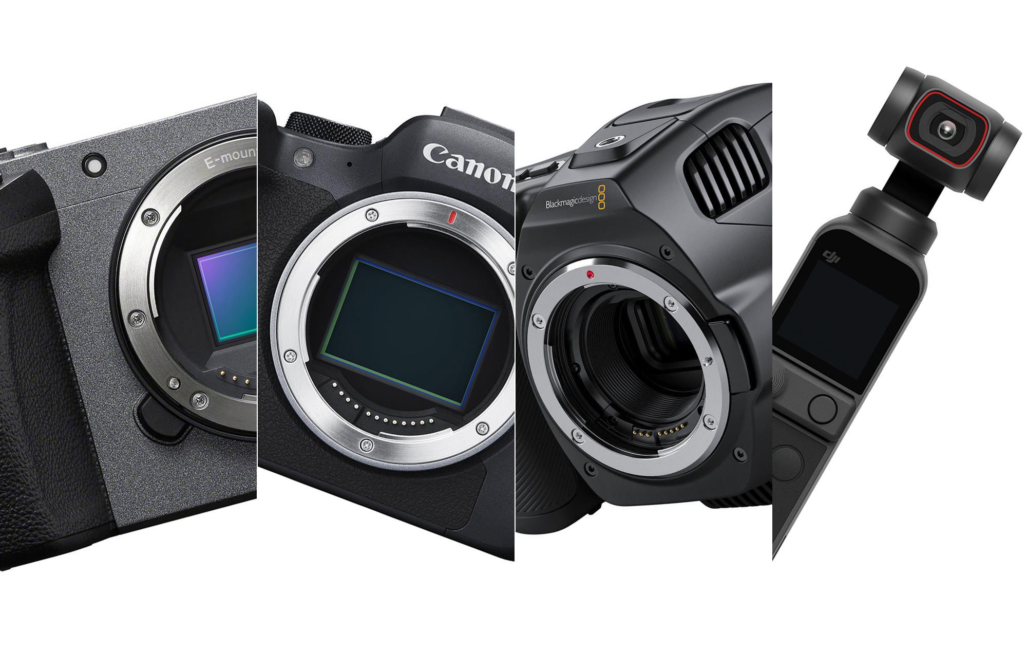 Best Cameras for Filmmakers: Affordable Options for All Budgets