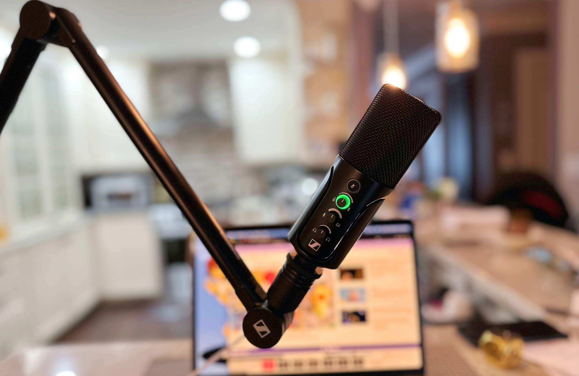 Razer Seiren X USB Condenser Microphone Review - Convenience Comes With A  Price –