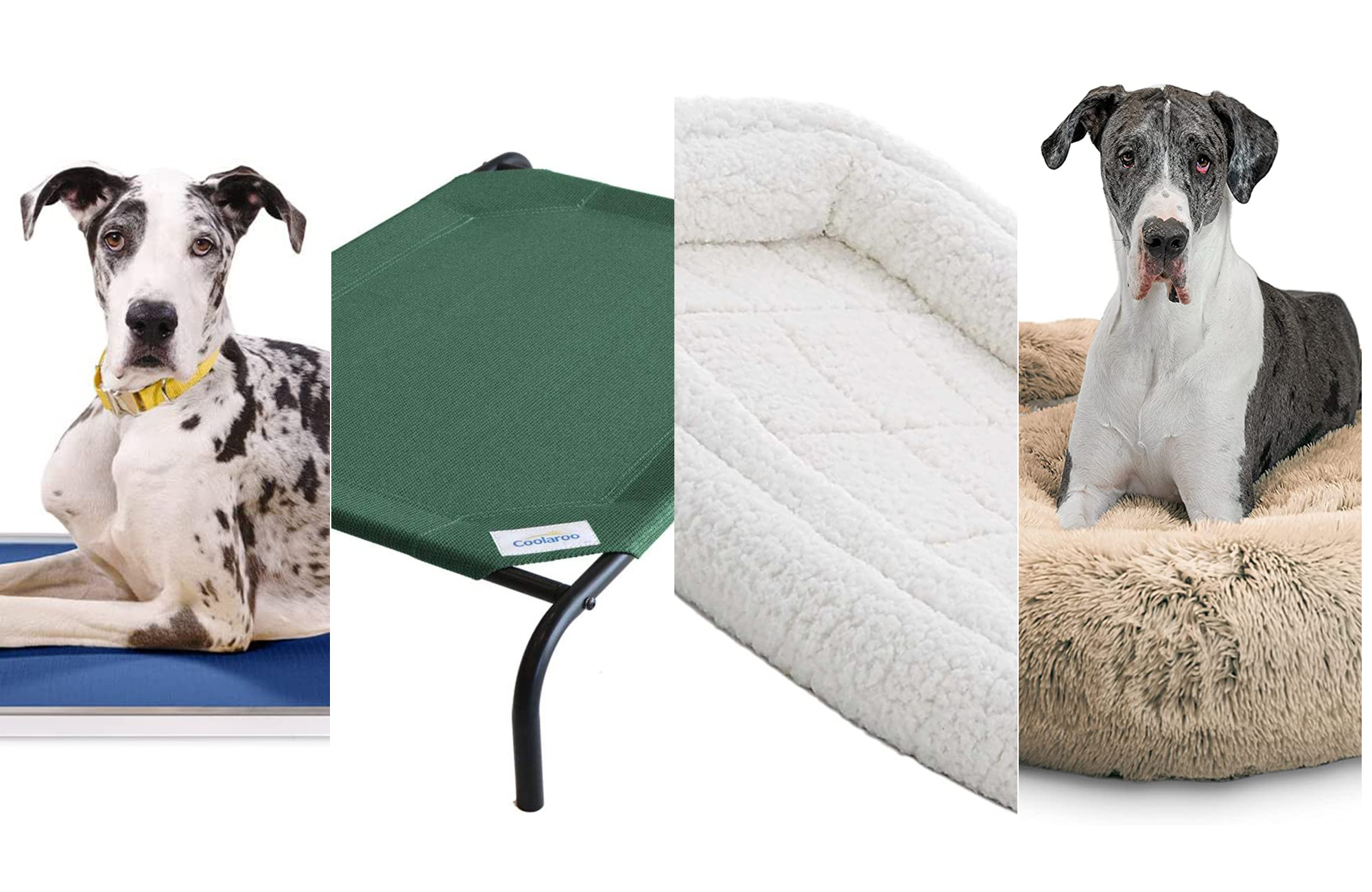 The best dog beds for large dogs in 2024 Popular Science
