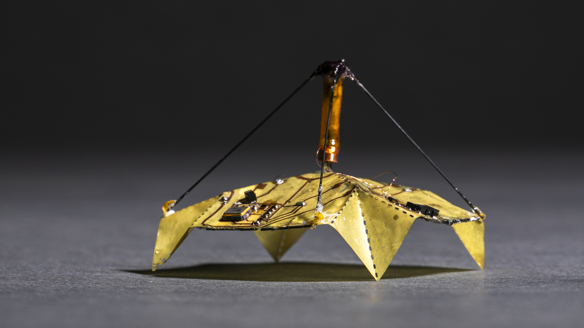 Microbots fold like origami to control their descent