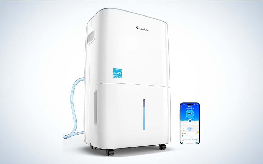 Best Dehumidifiers For Basements 2023 - Forbes Vetted