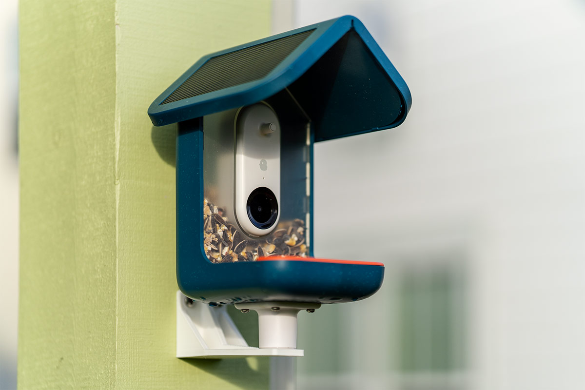 The best bird feeder camera is cheaper than ever at  for Black Friday
