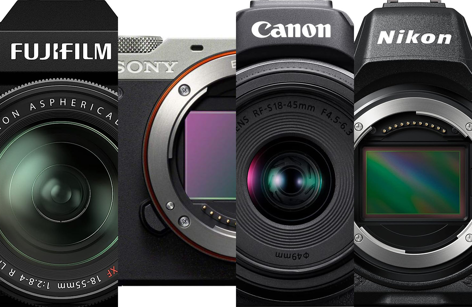Best Canon RF lenses in 2024