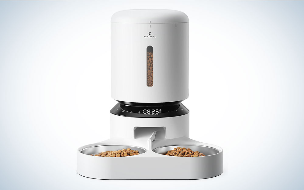 Automatic cat feeder for two cats sale