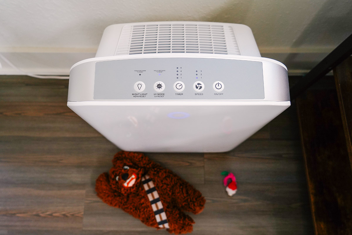 Best Air Purifiers for Pets of 2024
