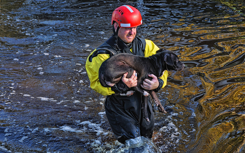 Firefighter saving a dog from a river