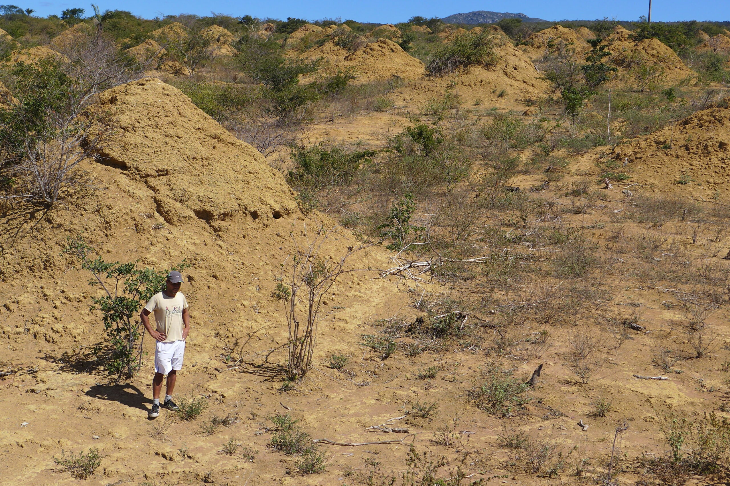 A man stands in front of a large termite mound