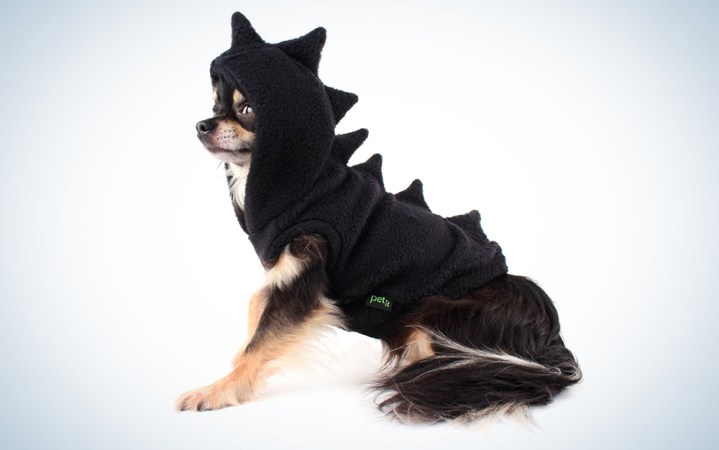  Dog Dinosaur Costume