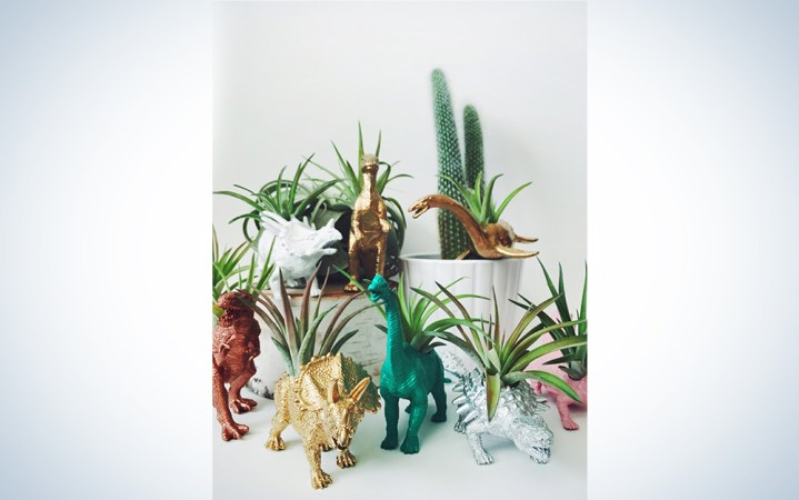  Dinosaur Planter