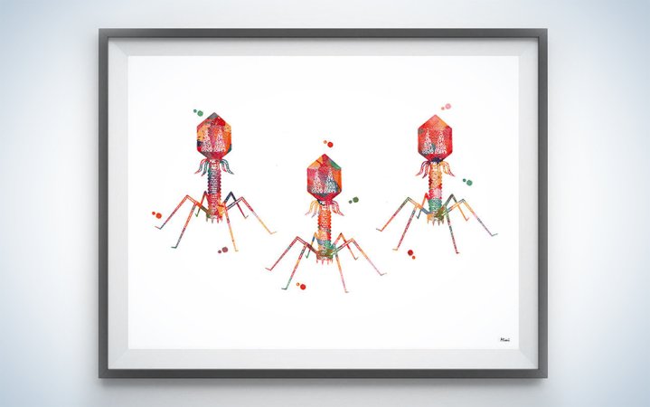  bacteriophages