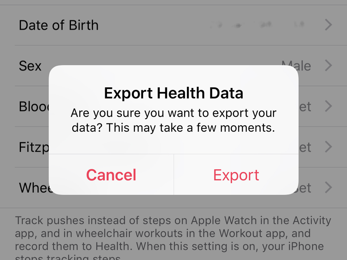 Apple Health export