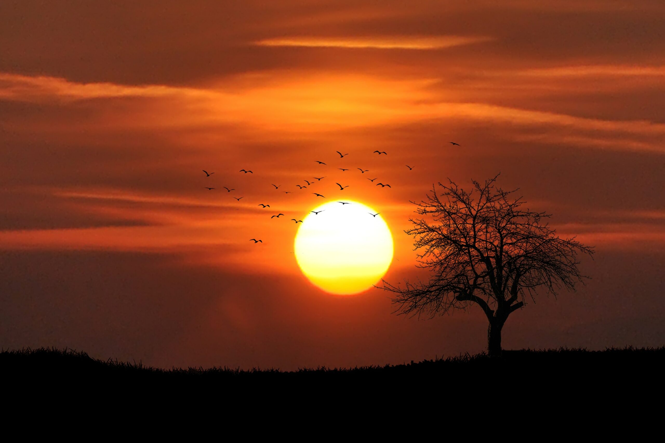 country dramatic sunset red