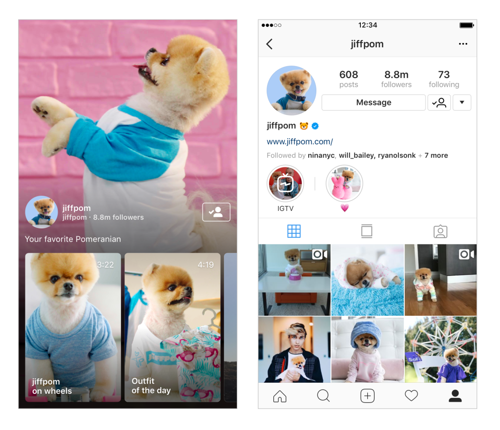 Instagram IGTV vertical videos