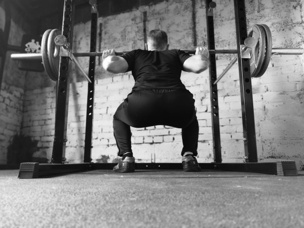 squat barbell muscle