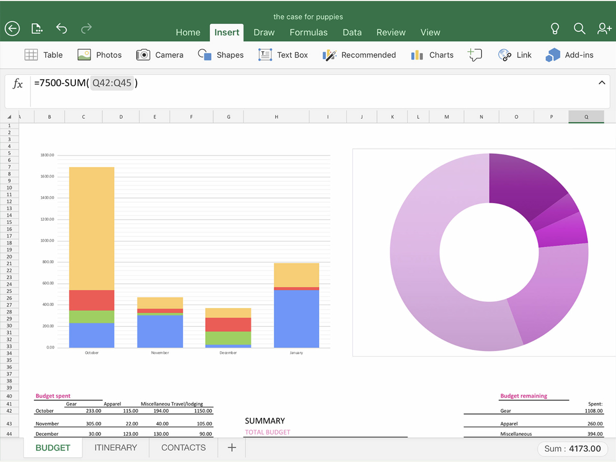 Microsoft Excel for iPad.