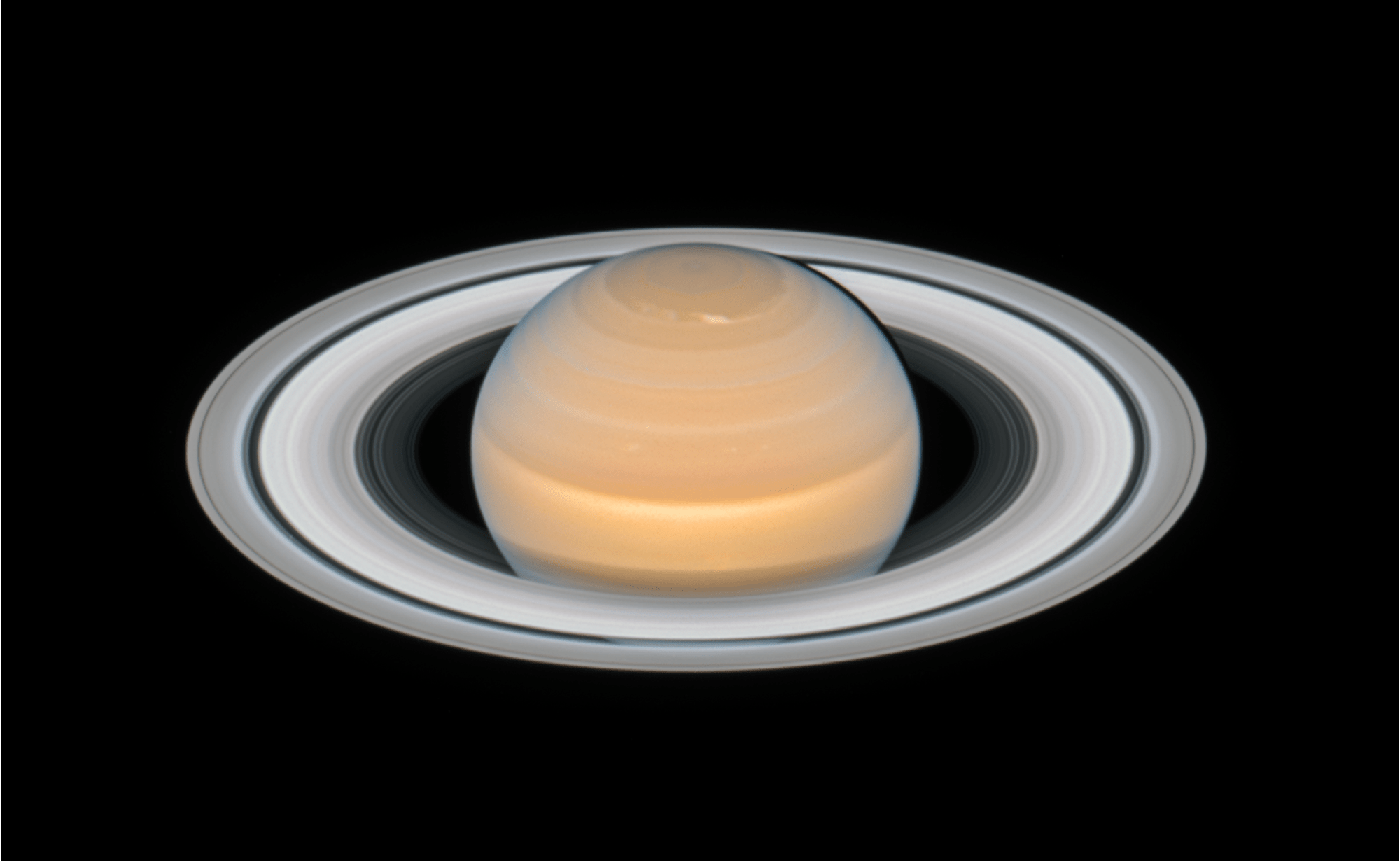 saturn opposition