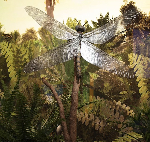 Enlarged, Hyperoxic Dragonflies