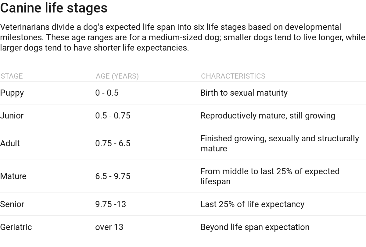 chart of dog years and breeds