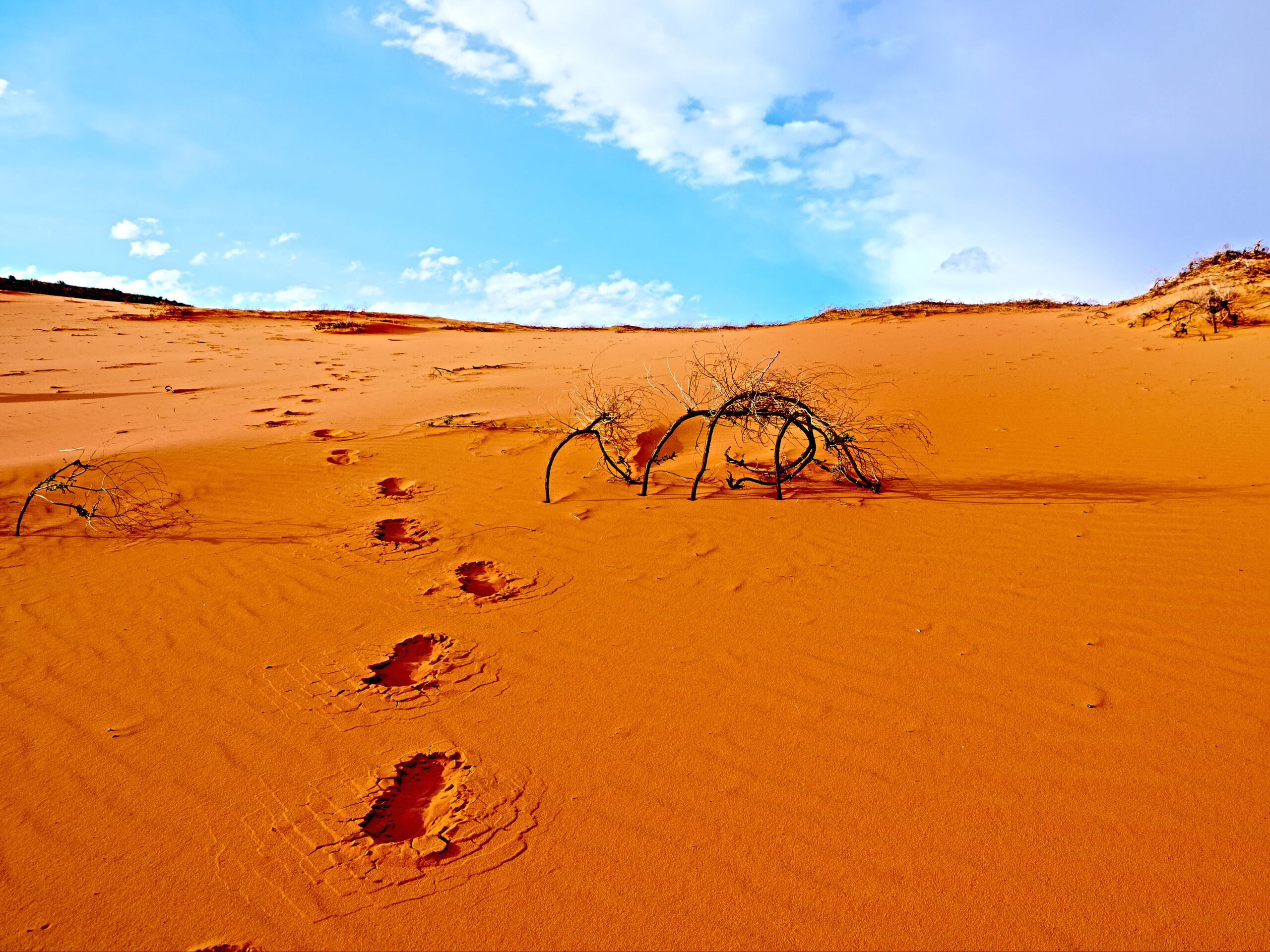 footprints in desert