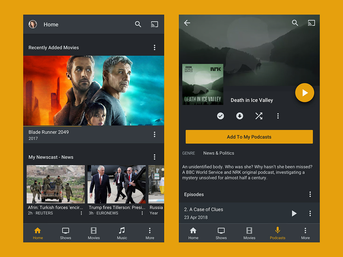 Plex Android app.