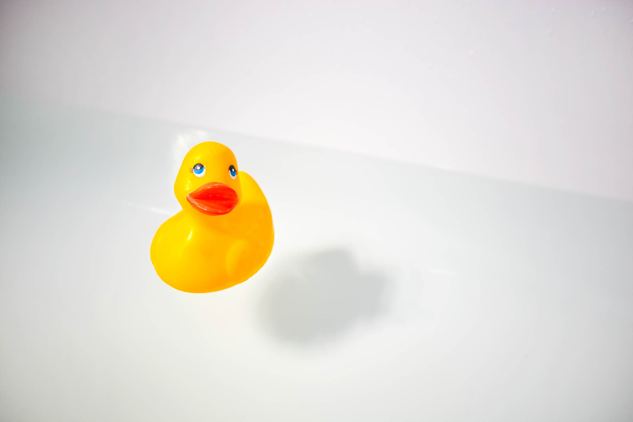 rubber ducky