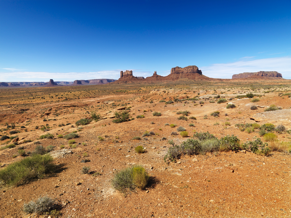 climate change soil water plant carbon modeling