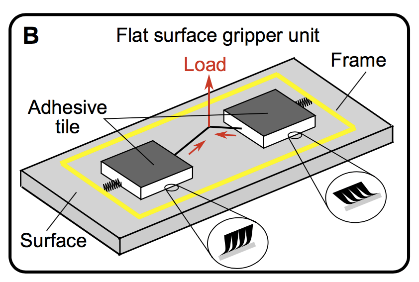 scientific diagram of two gripper tiles