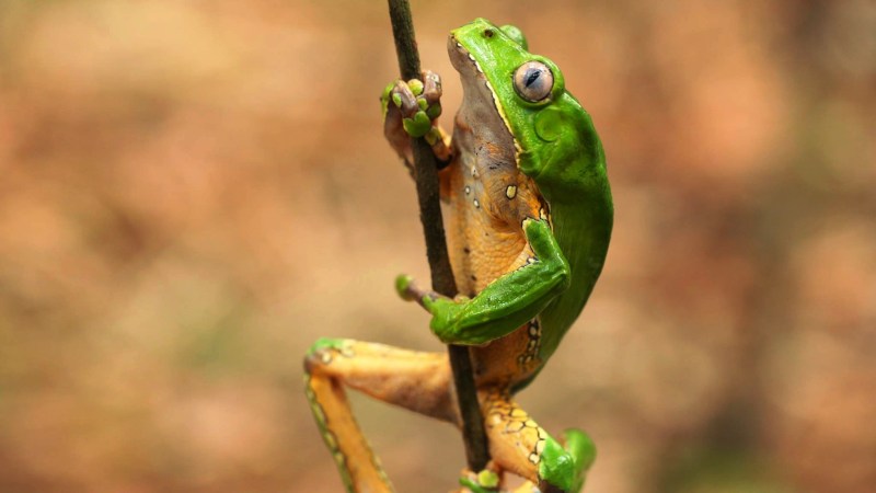 Show us your best nature photography! We’ll go first.