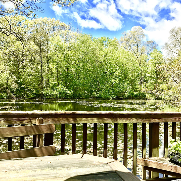 Connecticut Pond