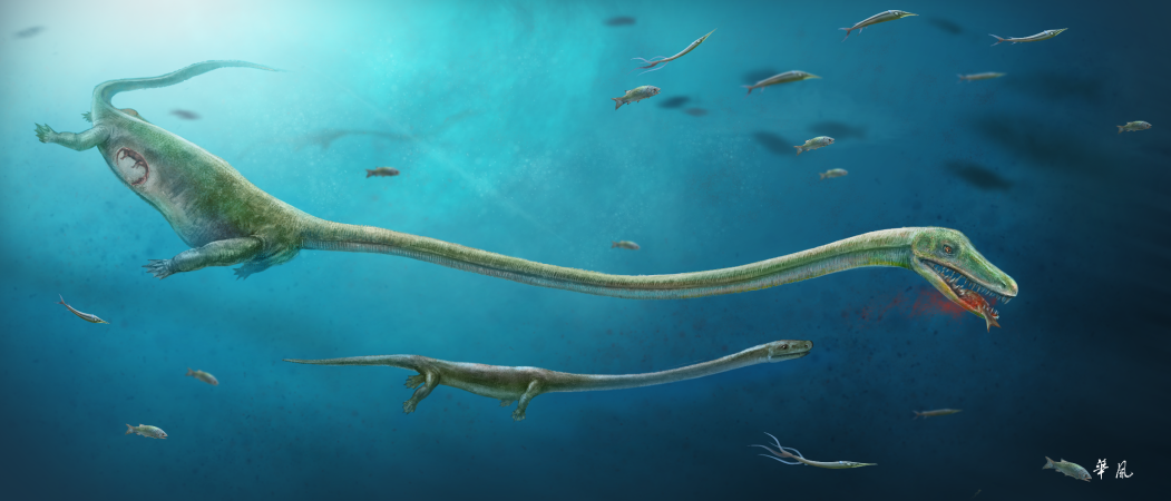 Crocodile’s ancient cousin defied family norms, gave birth to live young