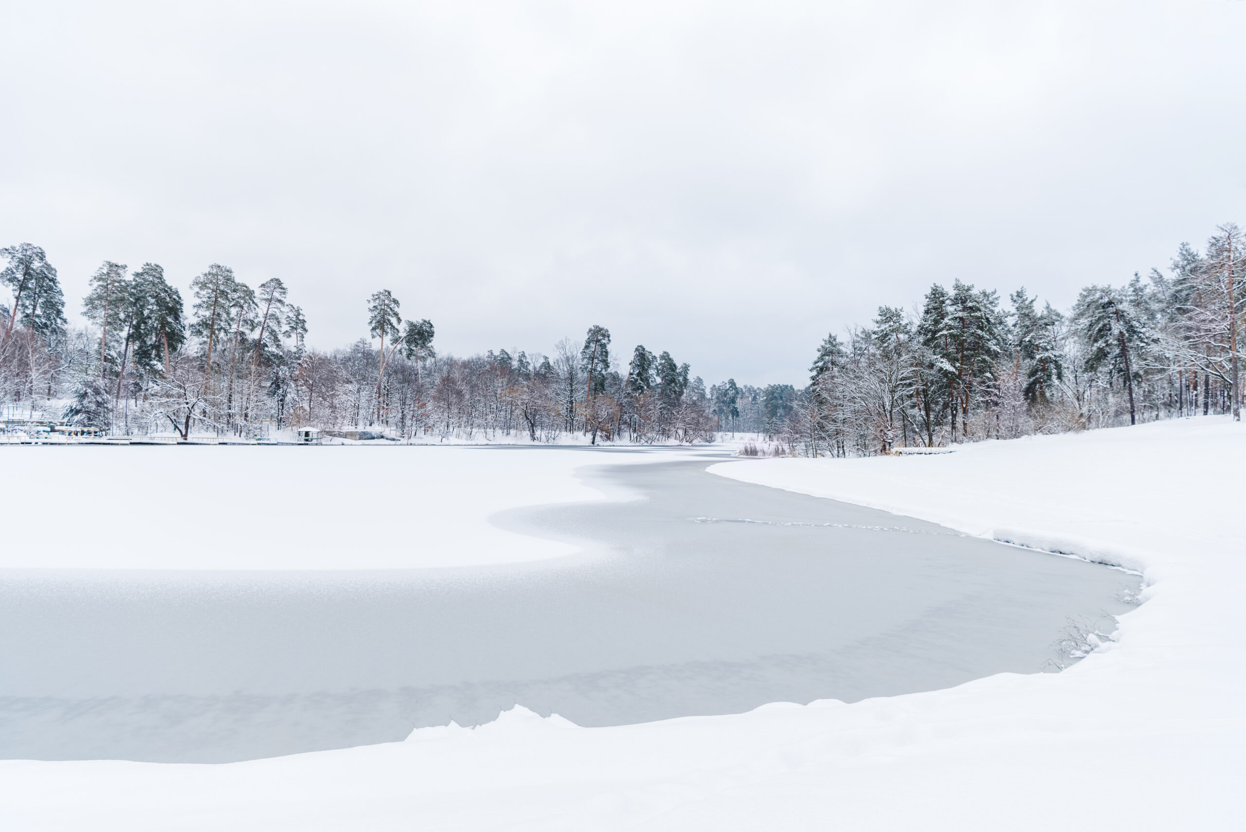 winter landscape frozen cold